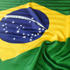 Cetim Estampa Bandeira do Brasil