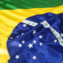 Cetim Estampa Bandeira do Brasil