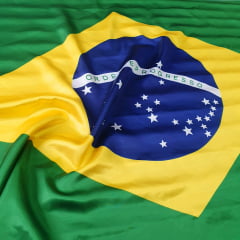 Cetim Estampa Bandeira do Brasil