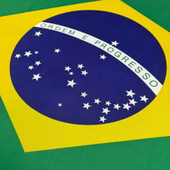 Helanca  Light Bandeira do Brasil