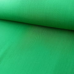 Viscolinho Verde Bandeira