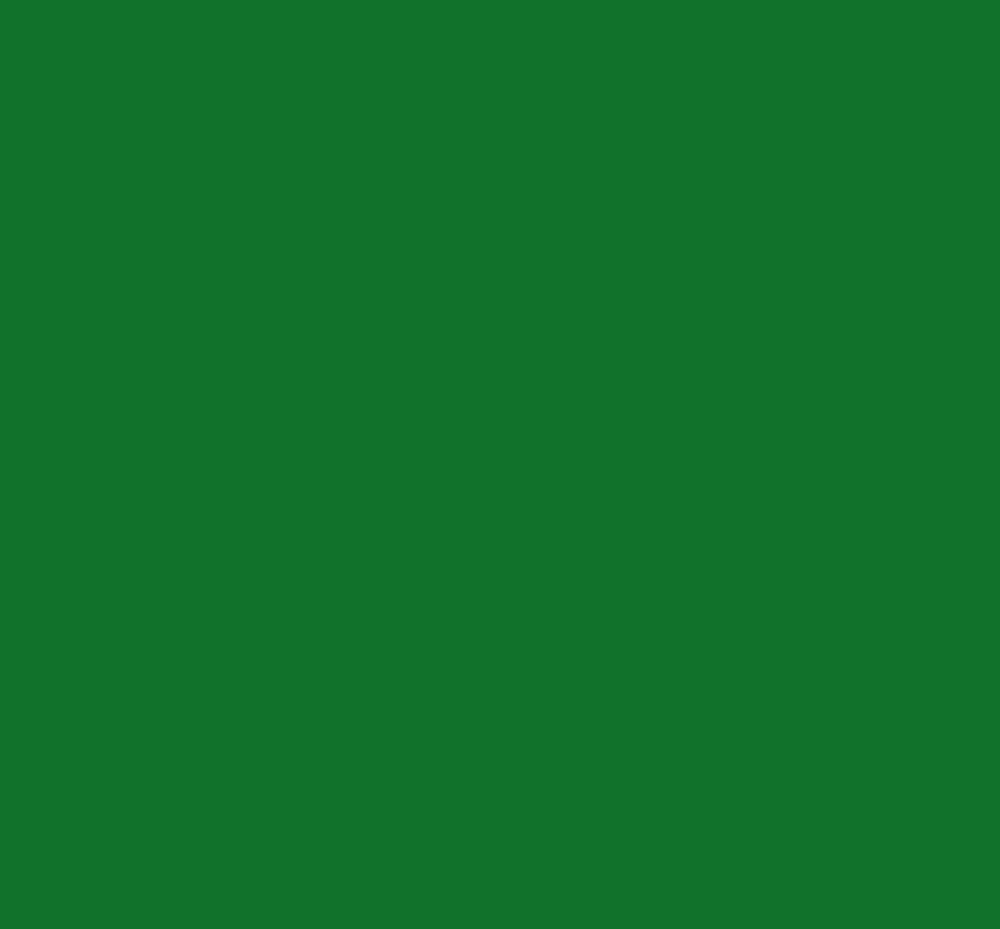 TNT 80 Verde Bandeira 